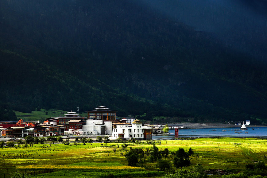 瑗胯棌鏋楄姖鏄湪钘忚タ涔熸槸钘忎笢,瑗胯棌鏋楄姖