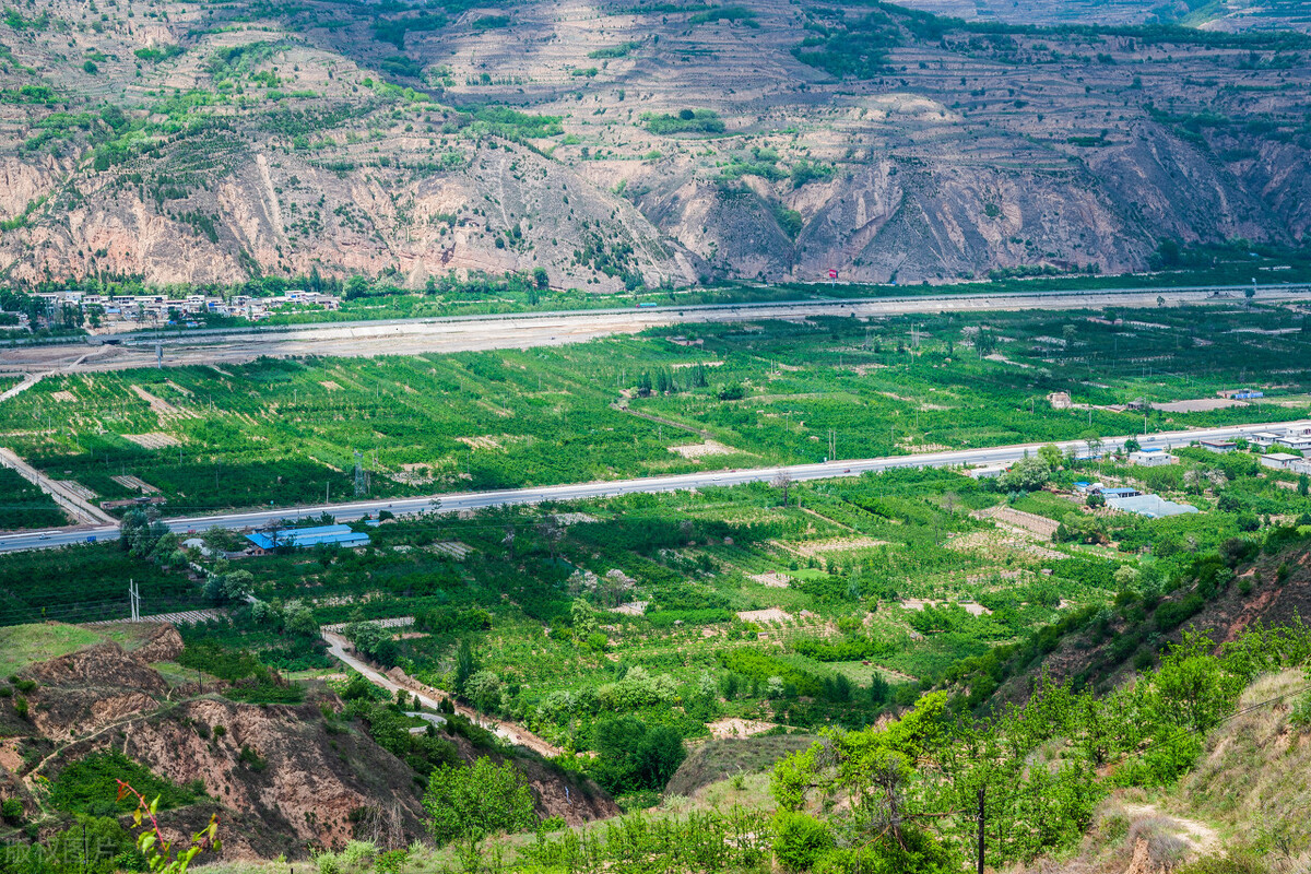 美国蛇果和花牛果价格,花牛苹果跟蛇果一样吗