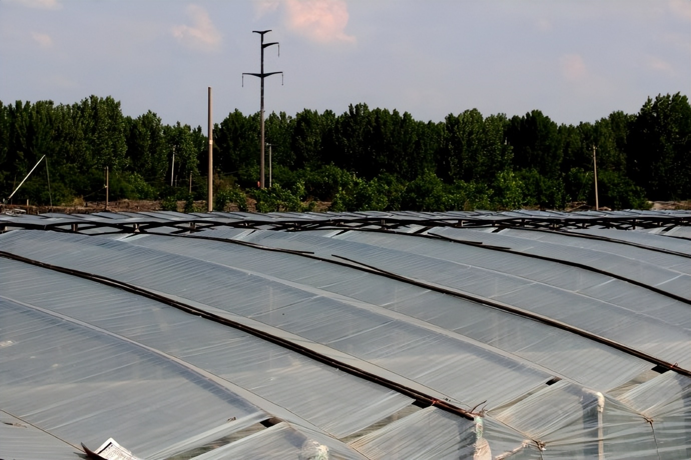 浣撴鍓嶄竴澶╁皬閰屽彲浠ュ悧,浣撴鍠濋厭