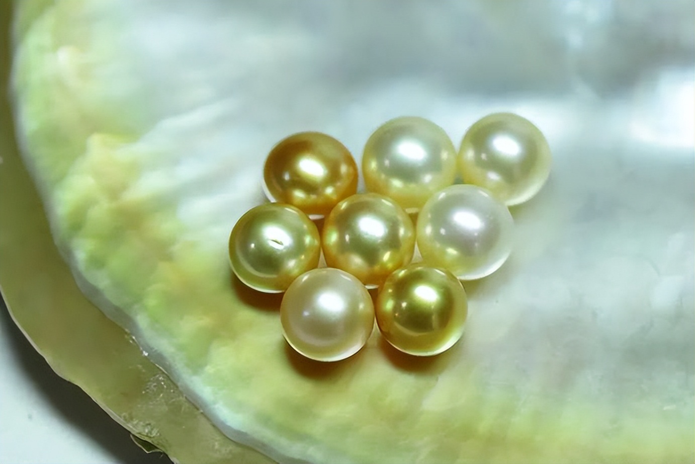 南洋珍珠和淡水金珠的区别,珍珠鉴定机构查询