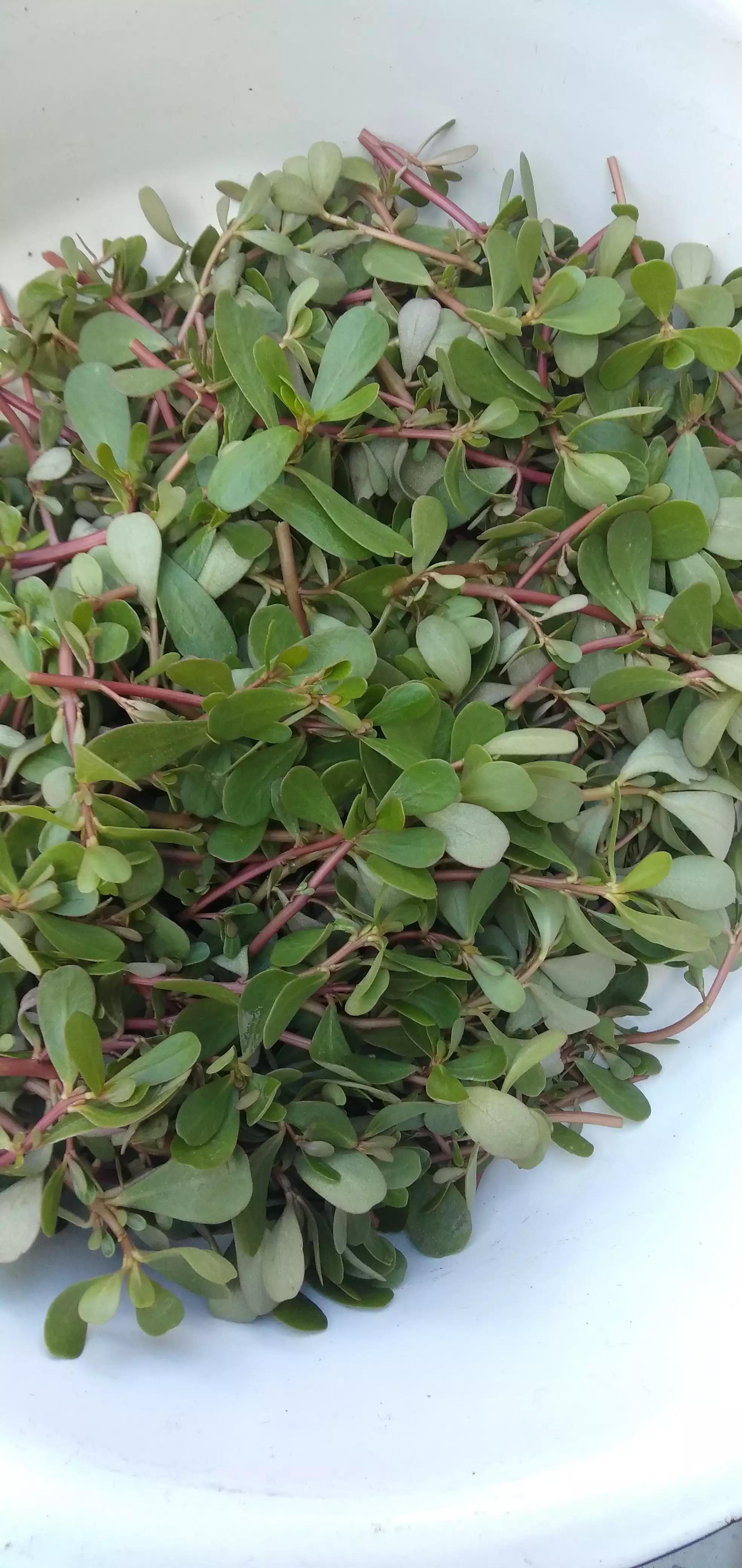 炝拌什锦,凉拌五行菜