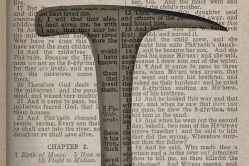 肖申克的救赎读后感1000字大学,肖申克的救赎读后感