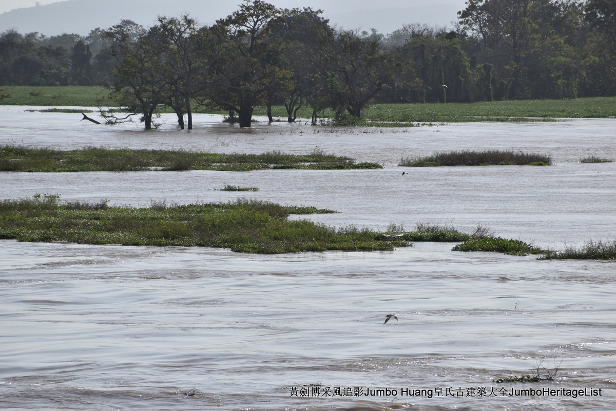 第5047回：消失的亚马逊文明，流失的林下聚居地