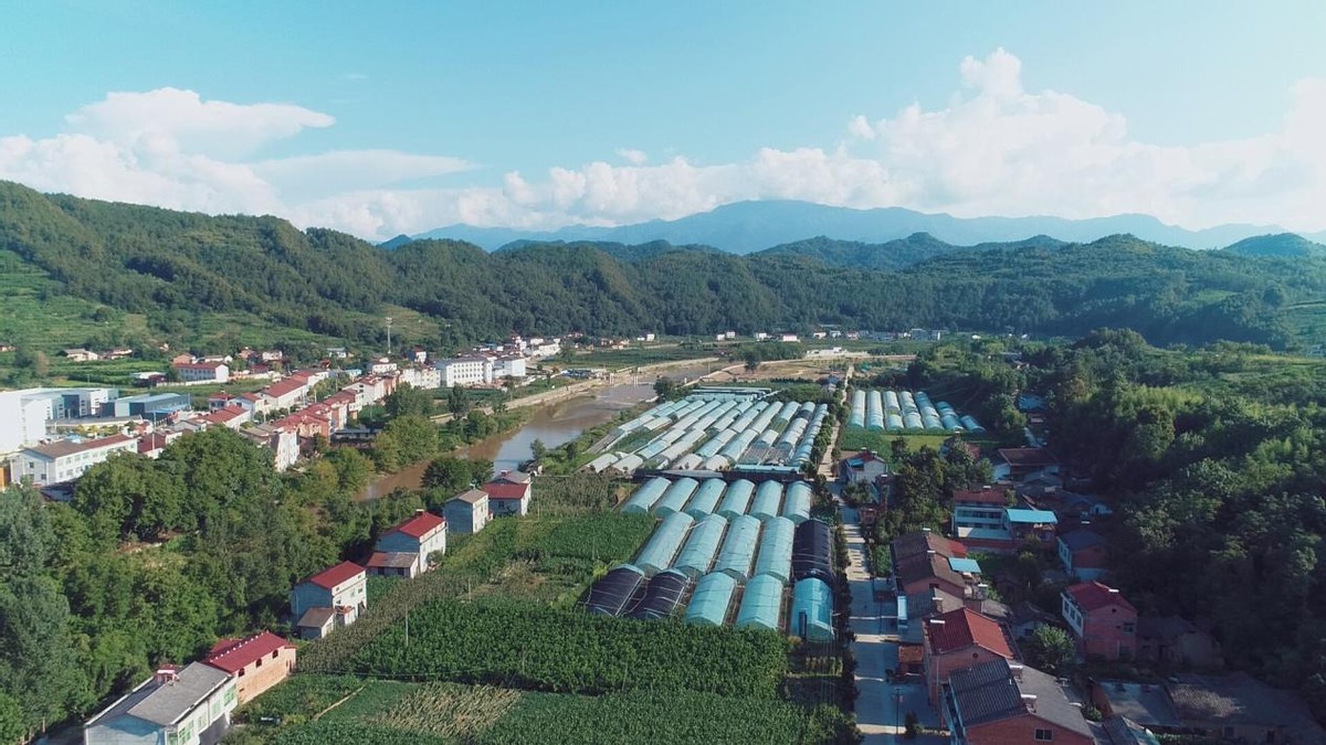 脚踏实地建家园的“铁哥”——石泉县中池镇人大代表陈柳