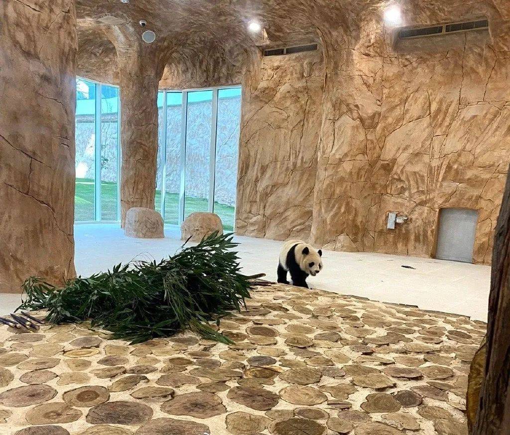 卡塔尔世界杯投入2000亿谁赚了,卡塔尔为世界杯花费多少钱