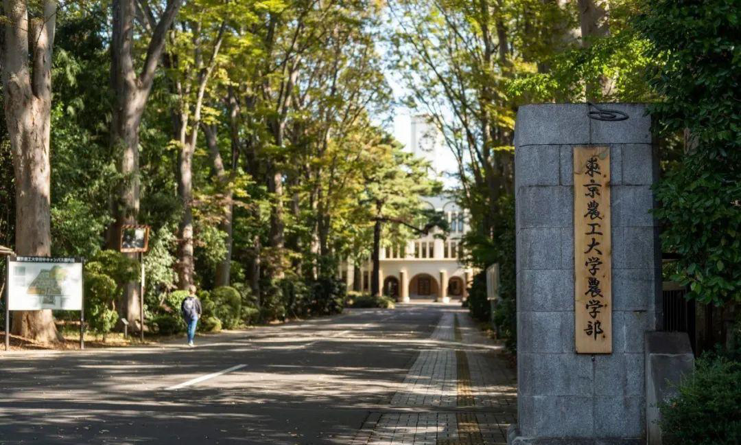 日本国公立顶尖大学推荐之电农名纤