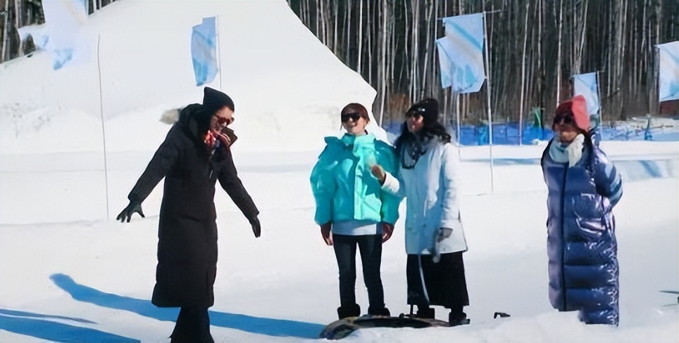 张嘉倪空壳太太,空壳太太