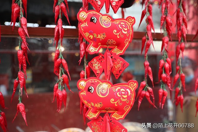 71年出生的猪宝们，你们过得还好吗？