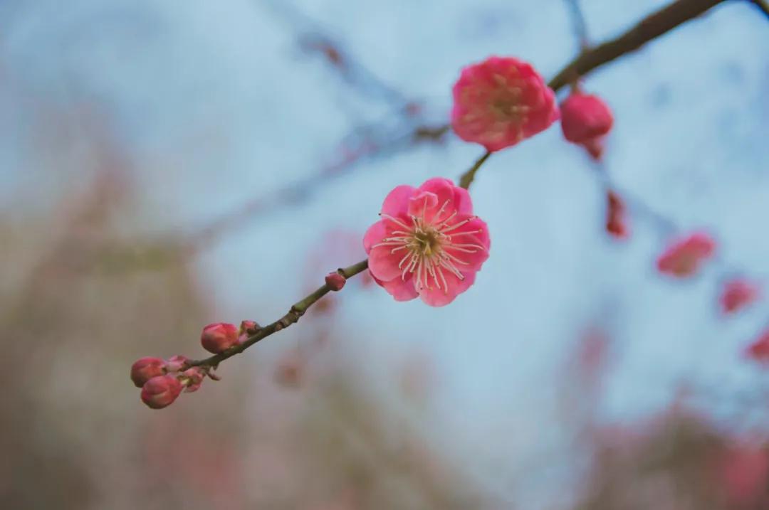 适合2月出行的12个旅行地，不负冬日的白雪和暖阳，准备好了吗？