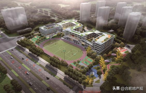 合肥各个区域学区学校排名,合肥五中东校区学区划分