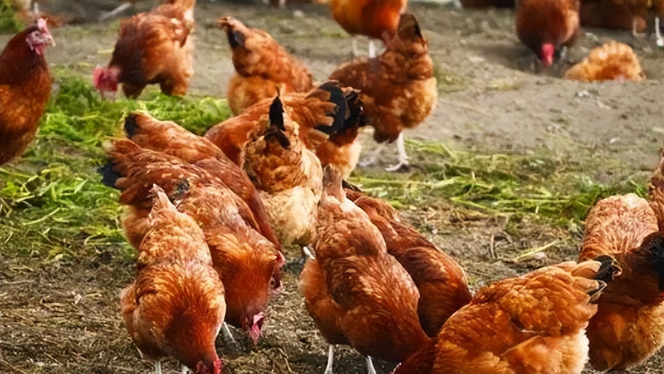 35岁以后做什么生意好找工作,50岁不想打工做什么生意好