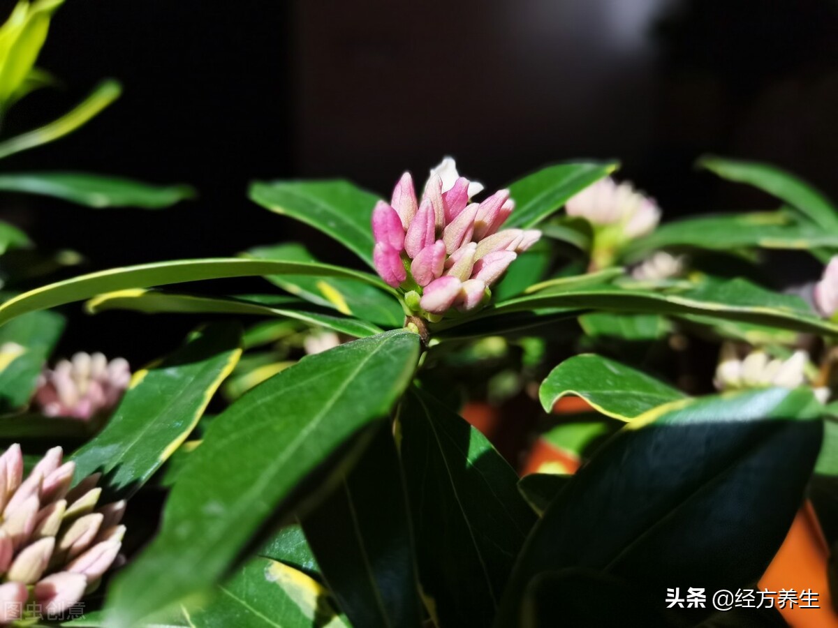 巧合还是天意？几年前治愈的精神病案例反馈到今天的病例上