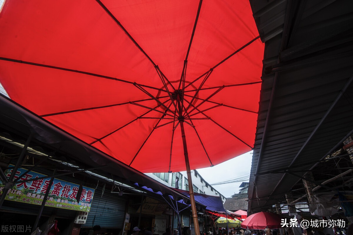 一条河散文,河边的桥散文