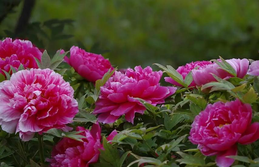 5天时间郑州出发适合去哪玩自驾,郑州到太行山一号公路自驾路线图