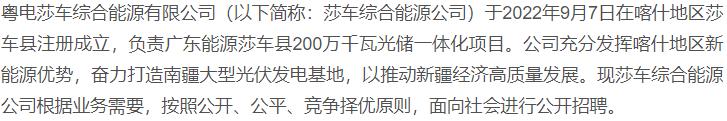 国企微电子企业招聘,莎车国企招聘