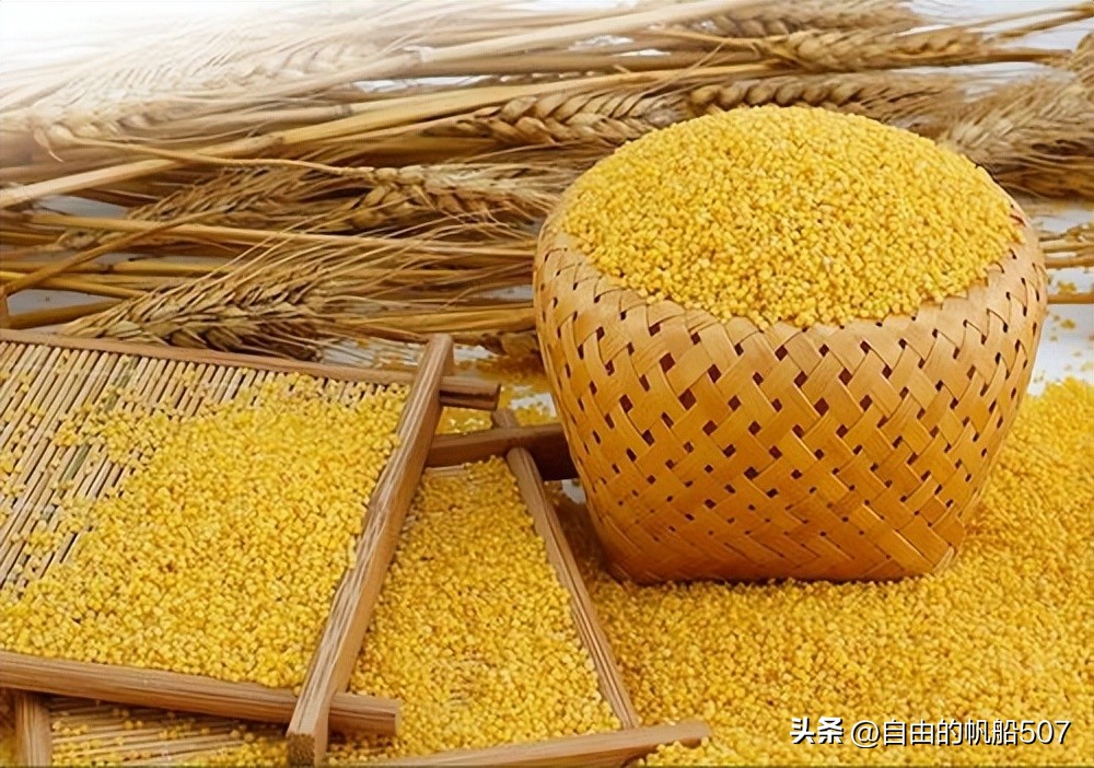 吉林省白城市镇赉县天气预报15天,吉林省白城市镇赉县莫莫格乡