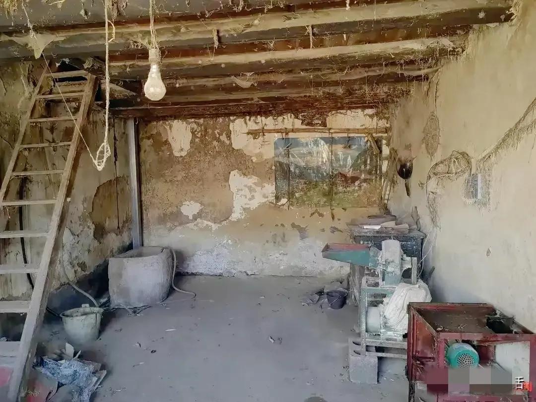 男子杀害19岁女友后潜逃,男子杀害19岁女友后潜逃23年后续