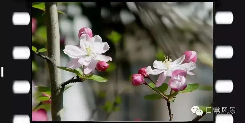 婆婆画画,婆婆画画教程