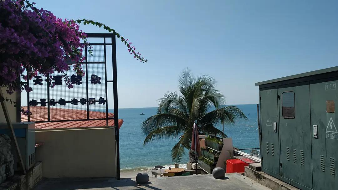 我是旅居三亚的姑娘，最终仓惶逃回深圳了