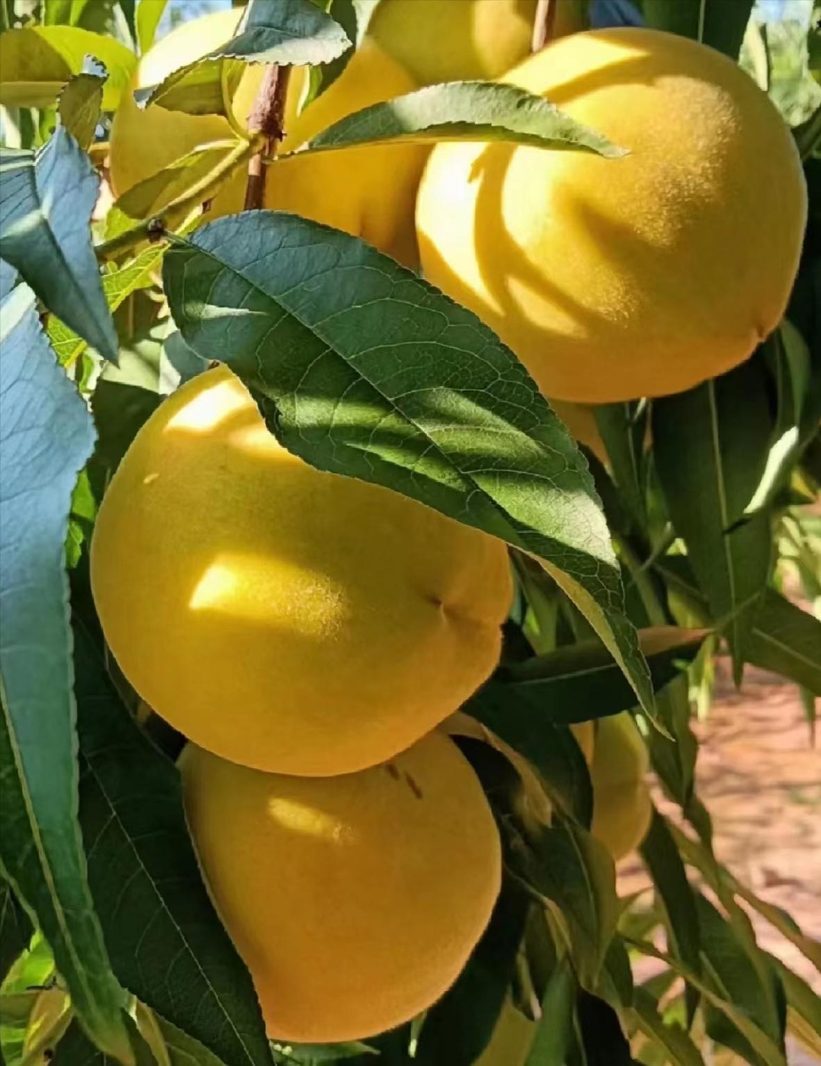 冬季天津户外徒步路线推荐,天津春天亲子徒步旅游路线推荐