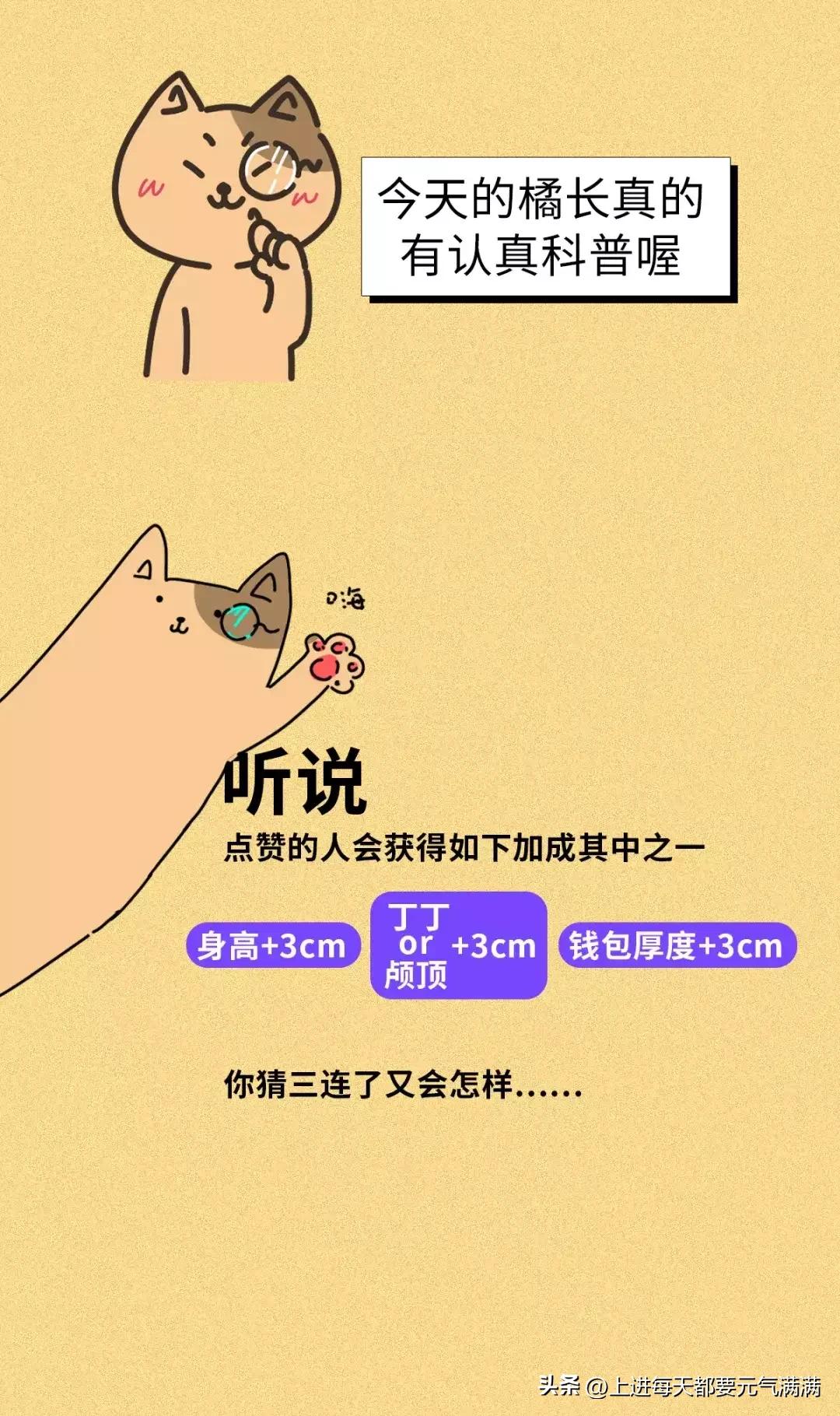 处女膜，到底是什么样子的呢？