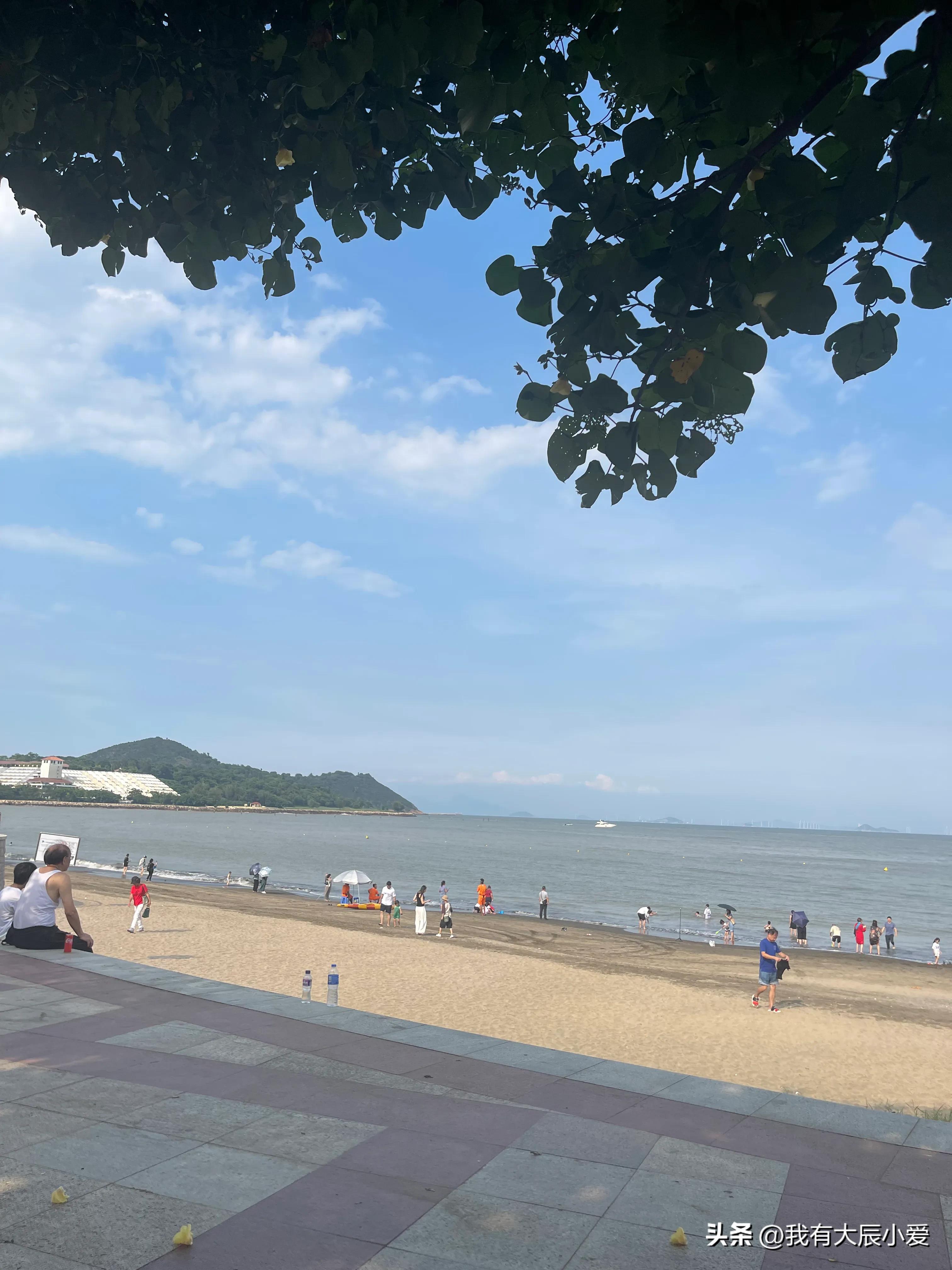 去澳门带小孩攻略,带娃去澳门好玩吗