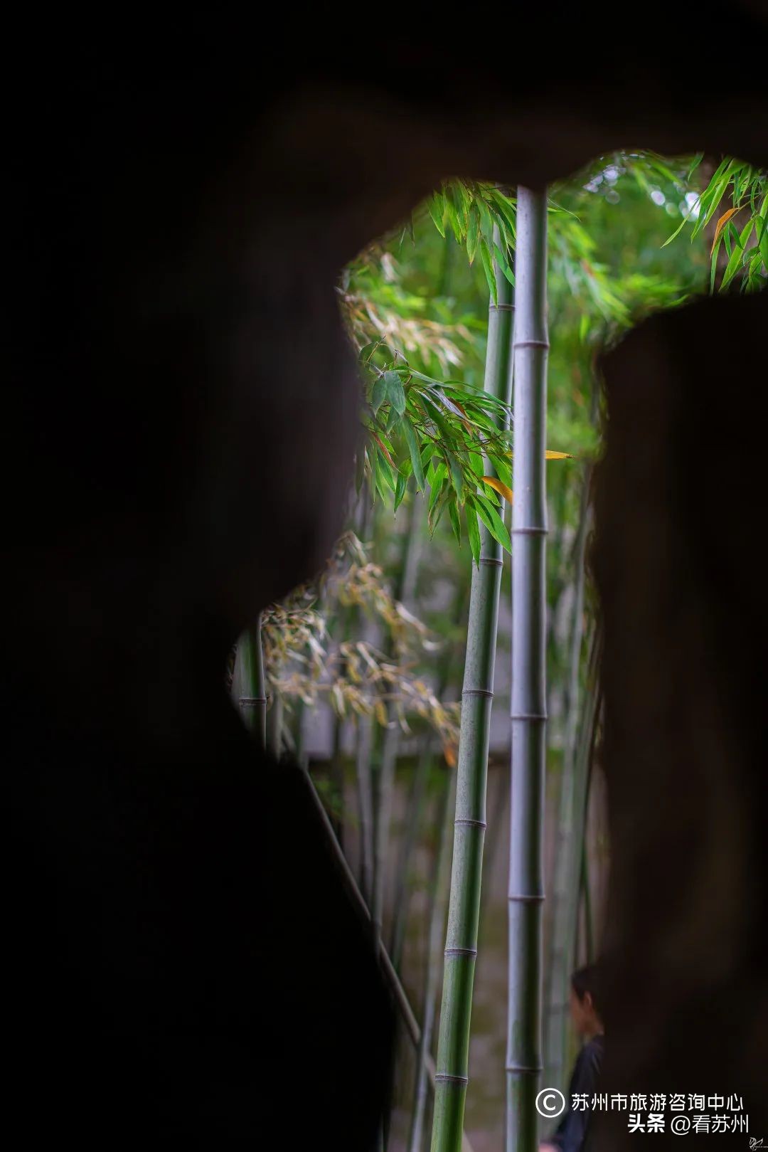 苏式园林庭院壁纸,苏州园林之夜壁纸