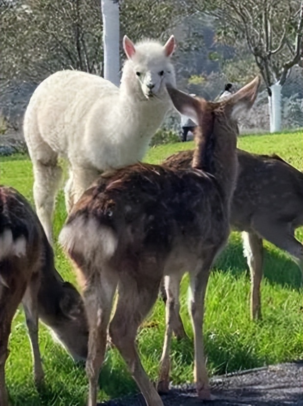 六一儿童节半天假期享受亲子时光,童趣童真日常遛娃