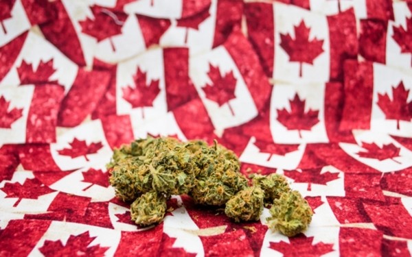 加拿大多省宣布将放宽防疫政策,加拿大安省防疫将出新规