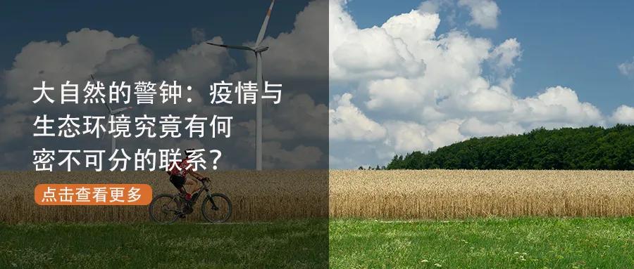 闪耀2021！凯谛思满载而归，感谢有你