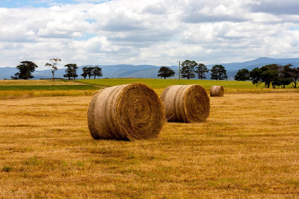 哭泣的阿根廷国家冷知识,你不知道的国家冷知识阿根廷