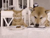 老师上课忘记关投影仪了,女老师上课期间忘记关投影仪