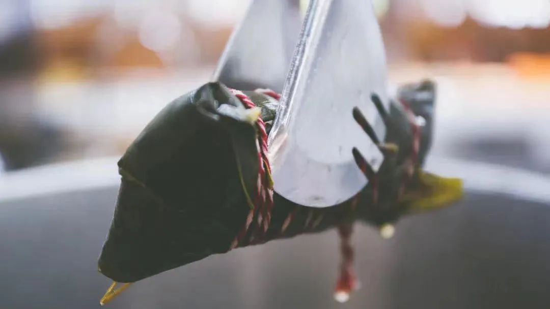 苏州端午花式粽子,端午节包粽子搞笑