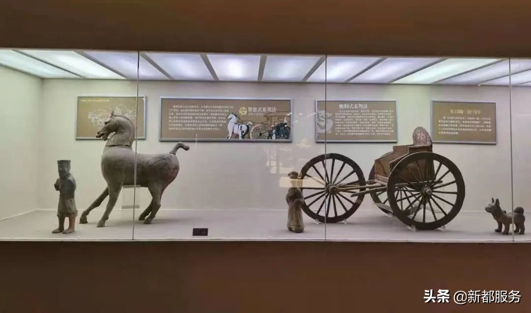 新都是镇还是区啊,什么是幸福的文案