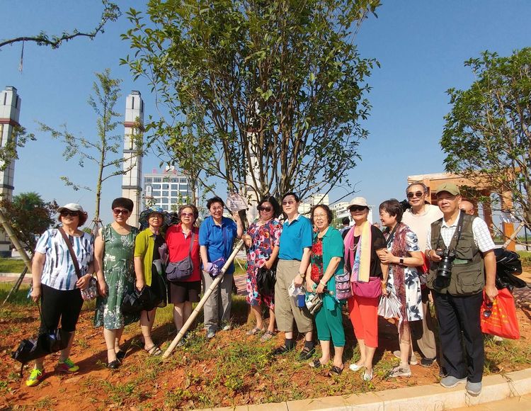 姊崇悊鍘嗗彶鑴夌粶杩藉鏂囧寲鏍硅剦,姊崇悊鍘嗗彶鑴夌粶
