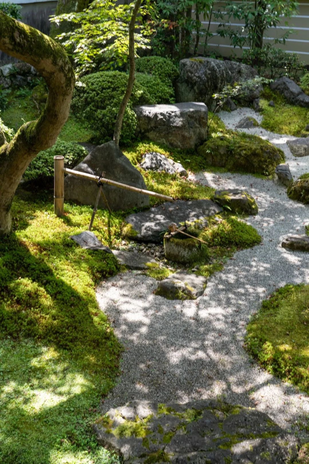 自然跌水景观,水幕瀑布跌水景观效果图