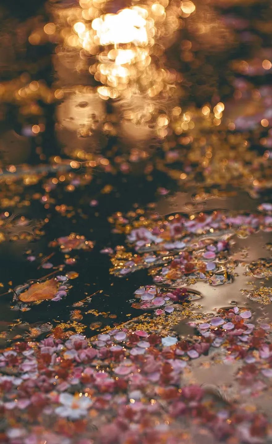 女子十八岁年龄的雅称,二岁至三岁的年龄雅称