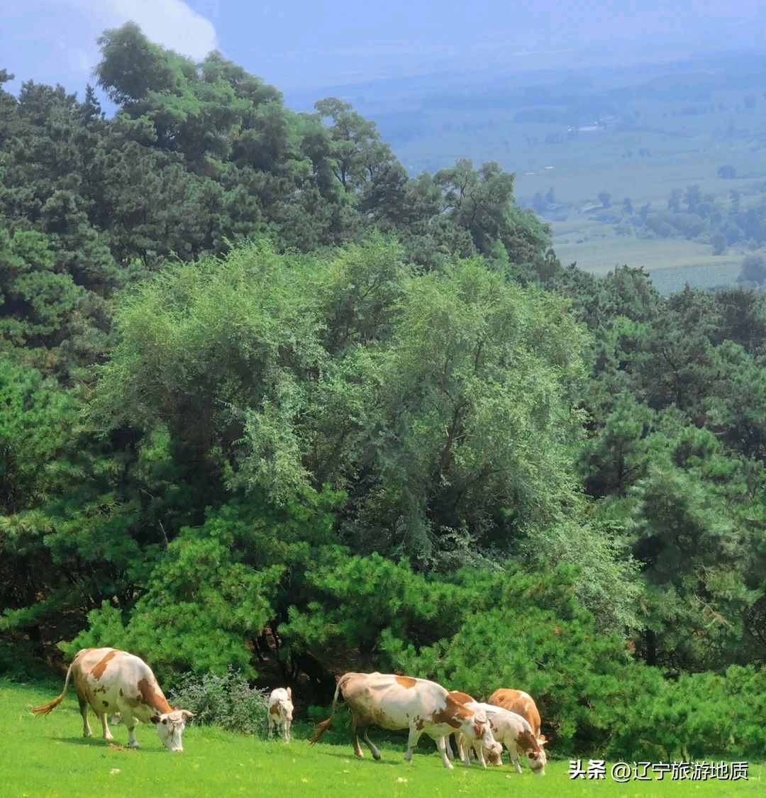 沈阳登山旅游哪里好,沈阳周边登山推荐