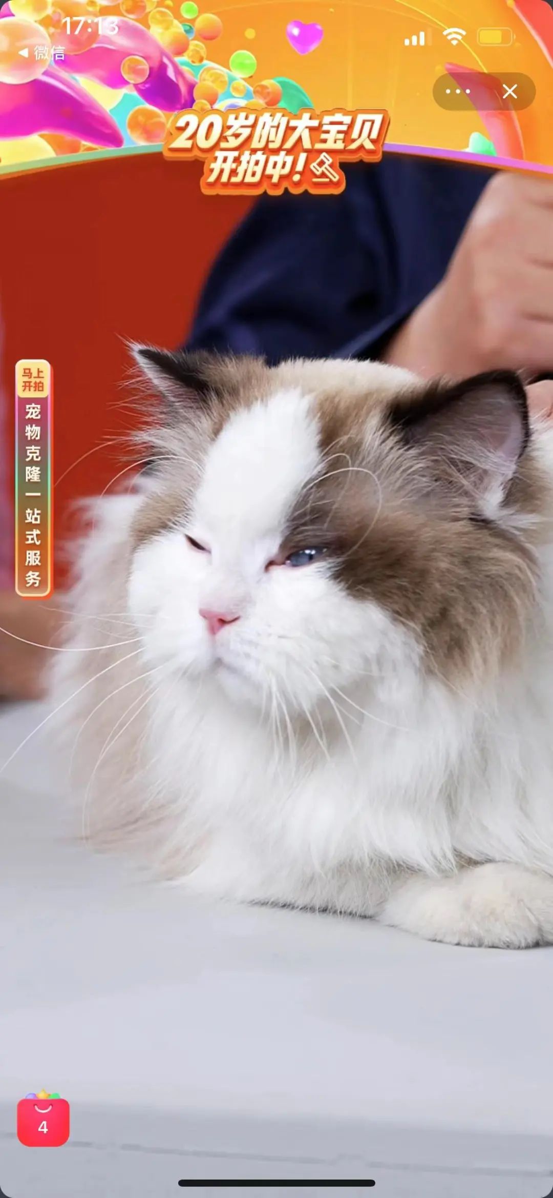 淘宝上拍卖的东西,在淘宝拍卖的东西是真的吗