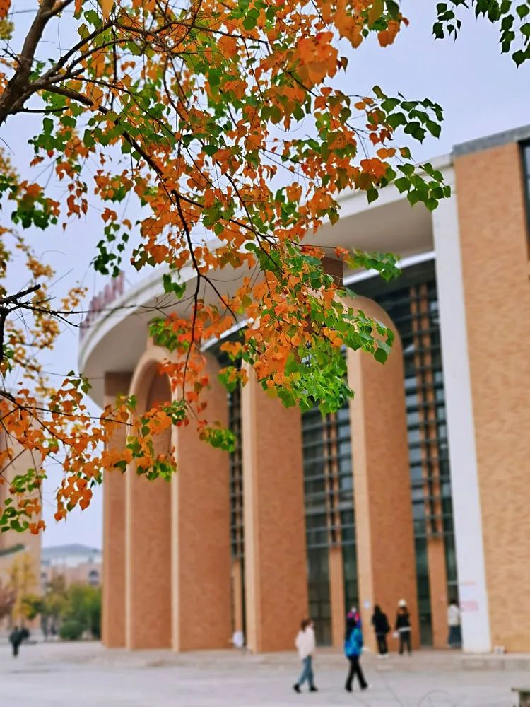 层林尽染的视频号,濮阳医专学历怎么样