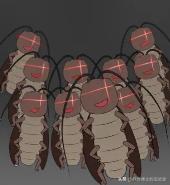 家里踩死的蟑螂，为啥一会儿就自动消失了？