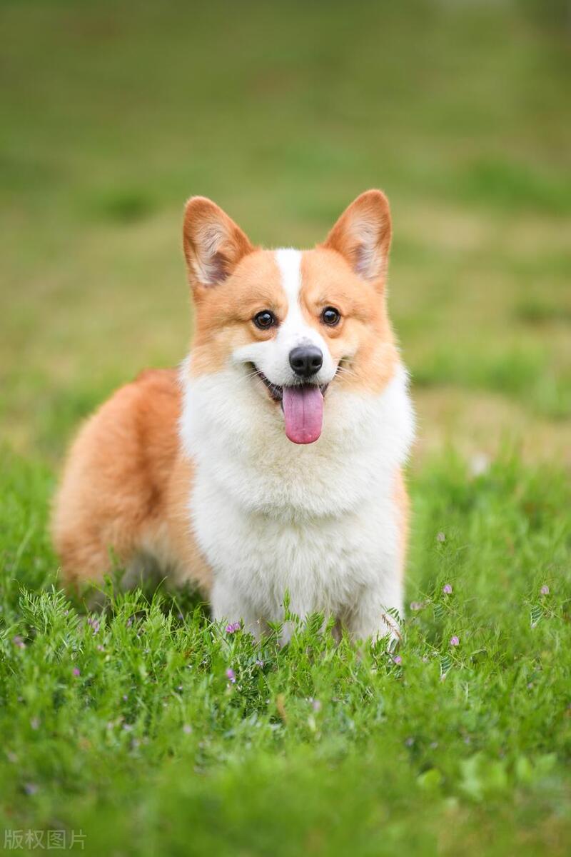 应届生应看重公司的什么,应届生应抓住机会