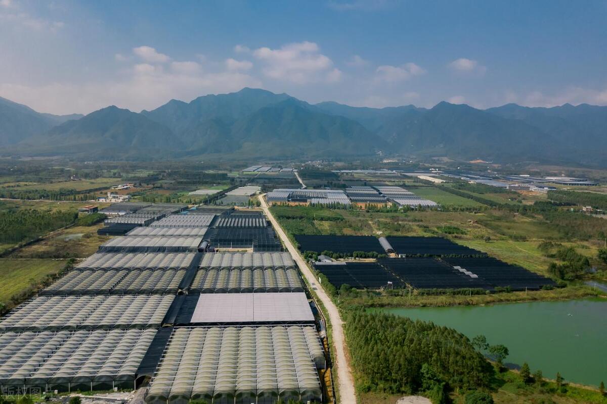 2022年河南项目工程,河南重点工程项目清单