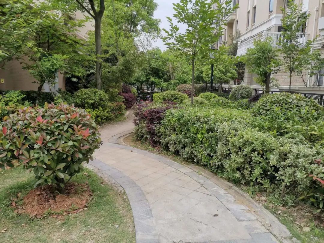 换掉物业最省事的办法,换掉物业之后小区变好了吗