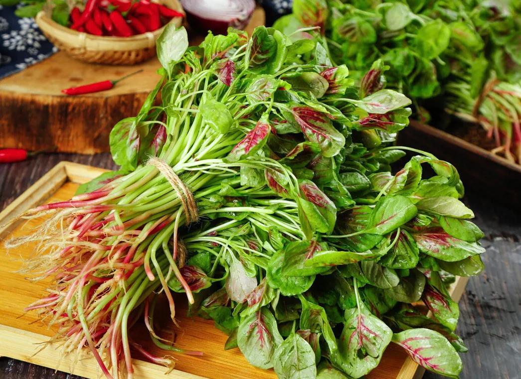 补钙第一名的菜芥蓝,营养专家推荐的7种绿叶蔬菜