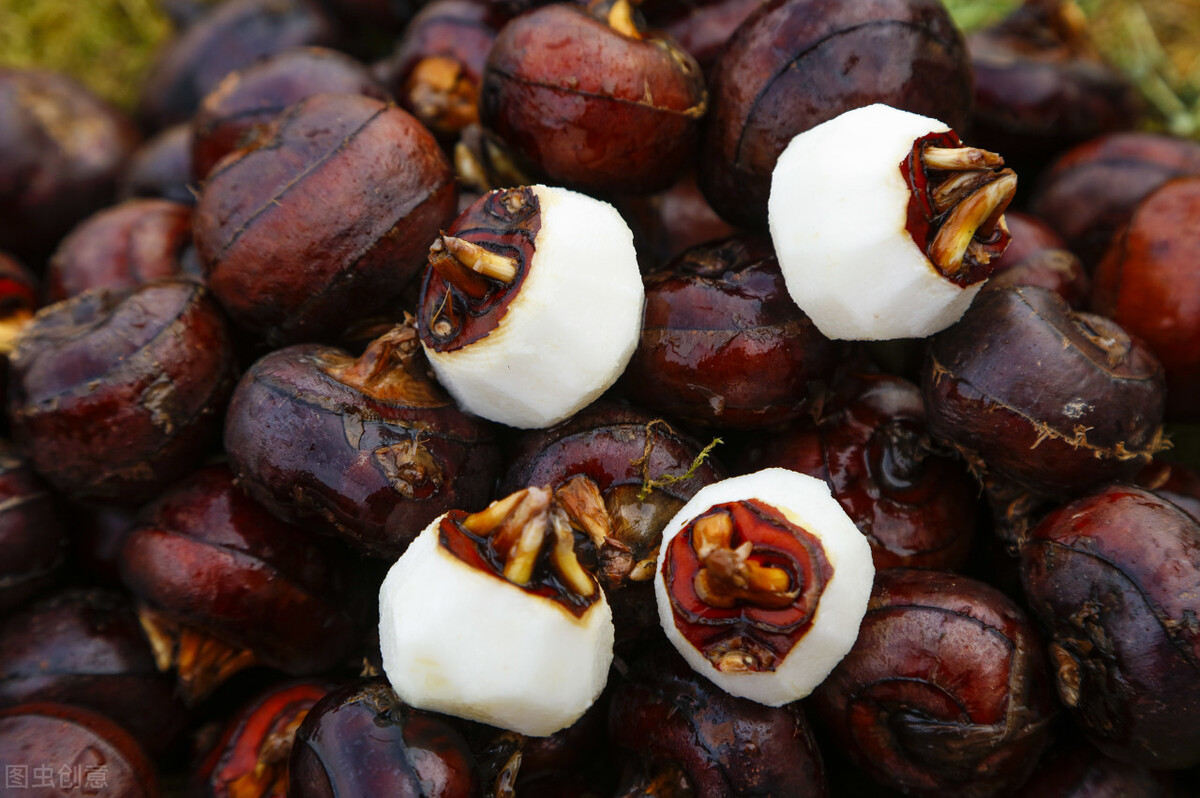 冬季荸荠怎么吃,荸荠为什么叫做江南人参