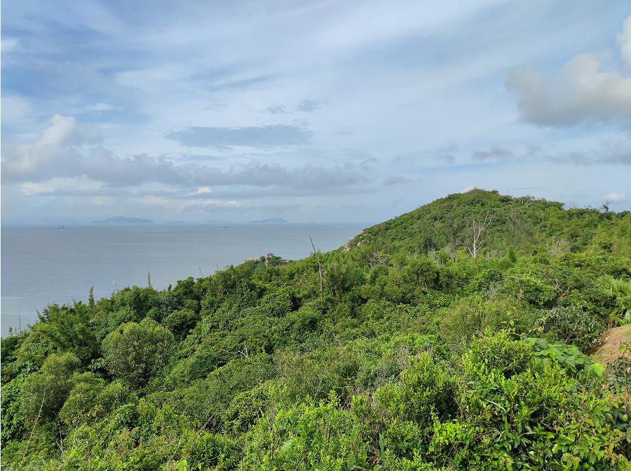 东澳岛民宿推荐10家,珠海东澳岛旅游住宿攻略