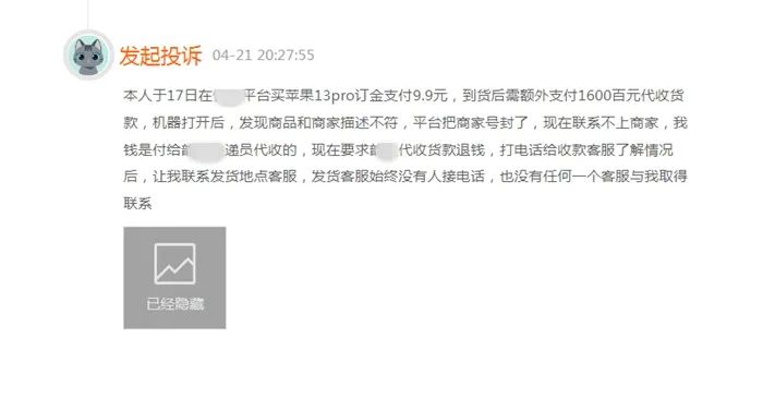 冬青树苗购买,购买红果冬青树苗