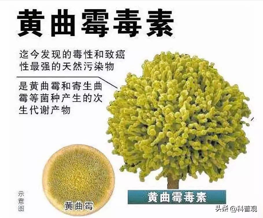 1克熟茶,十五年普洱熟茶还能喝吗