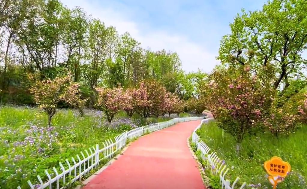 郑州市内周末遛娃好去处,郑州周边带娃不累的旅游地